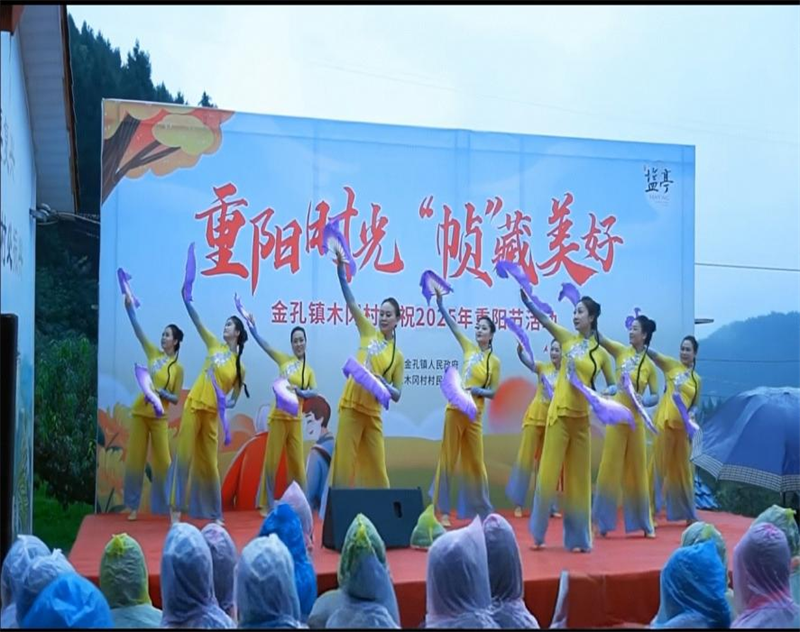 图片 11